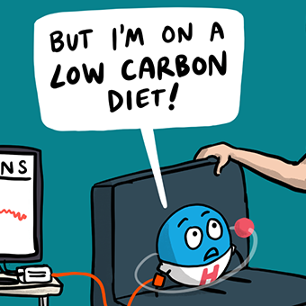 Low-carb-diet NL