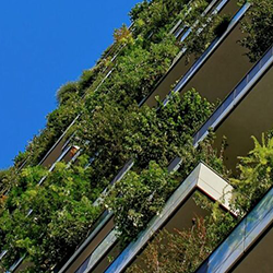 green-building-plant